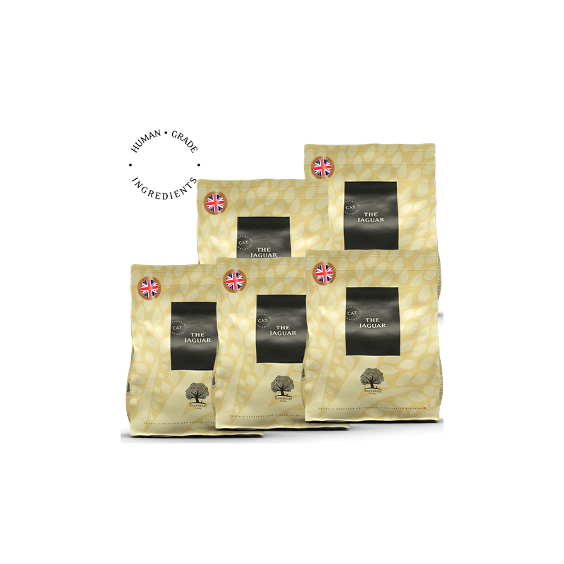 LOT DE 5 THE JAGUAR 3 Kg